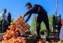 الروزنامة الزراعية