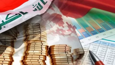المالية النيابية