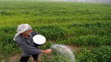 وزارة الزراعة
